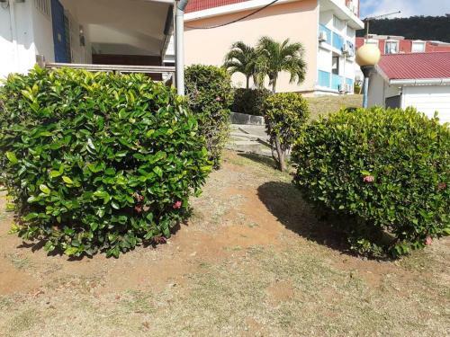 Apartamento Superbe Studio, � 20 M�tres de La Plage, Acc�s Direct Grande Plage Diamant