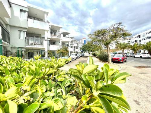 Apartamento Studio 10 Minutes Walk From Los Cristianos Beach