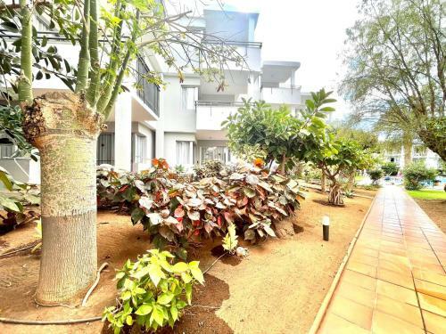 Apartamento Studio 10 Minutes Walk From Los Cristianos Beach