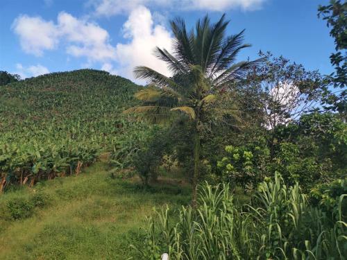 Apartamento La Maison De La Th�ba�de