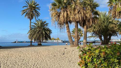 Cozy Holidays Apartment, Playa De Los Cristianos