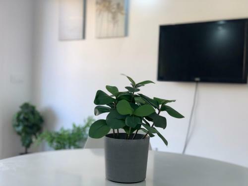 Fantastic Apartment. Los Cristianos. Free Wifi.