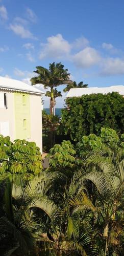 Apartamento Ti Kaz A Rhum
