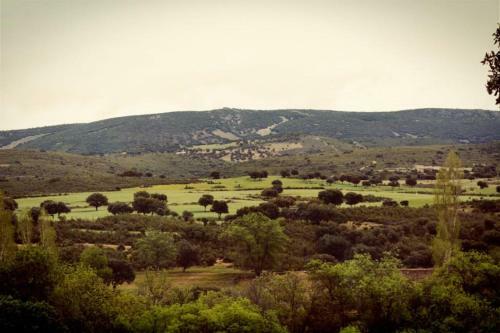 Hotel Casa Rural Encinar De Las Flores