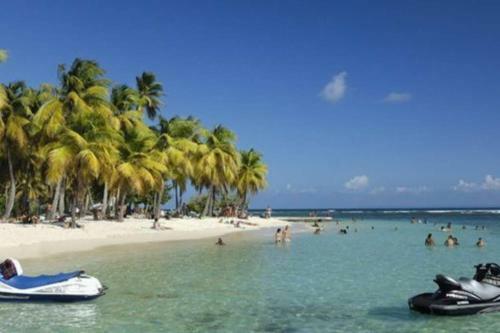 G�te Cajou Dans Domaine Tropical Ventil� � Sainte-anne