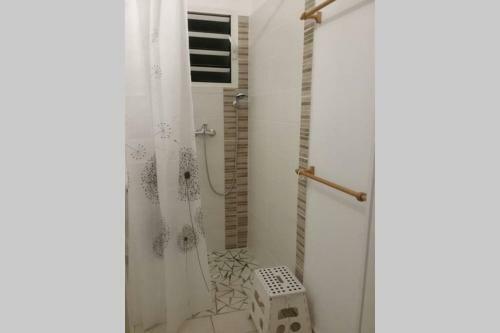 G�te Cajou Dans Domaine Tropical Ventil� � Sainte-anne