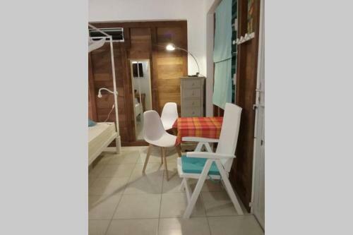 G�te Cajou Dans Domaine Tropical Ventil� � Sainte-anne