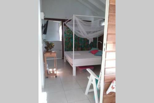 G�te Cajou Dans Domaine Tropical Ventil� � Sainte-anne