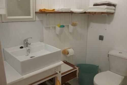 G�te Cajou Dans Domaine Tropical Ventil� � Sainte-anne