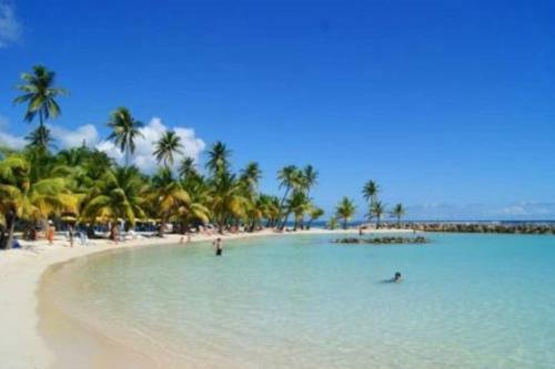 G�te Cajou Dans Domaine Tropical Ventil� � Sainte-anne