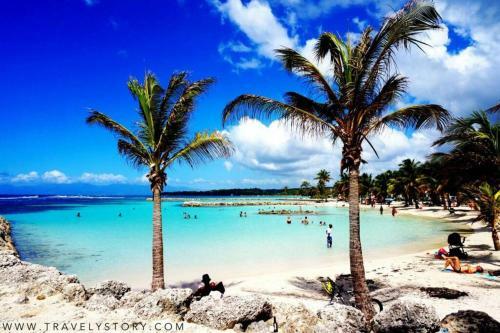 G�te Cajou Dans Domaine Tropical Ventil� � Sainte-anne