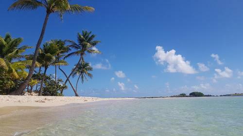 Apartamento Sail With Us 40ft Catamaran