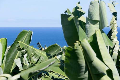 Villa Hacienda Camino De La Cruzada