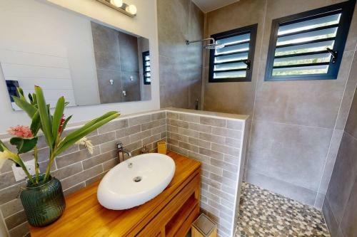 The View - Magnifique Villa Face � La Mer