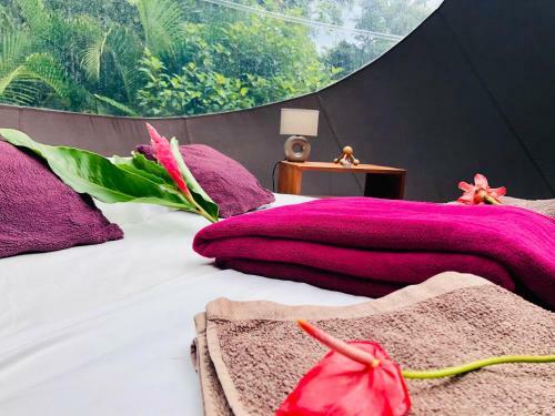 Lodge La Bulle Aux �toiles