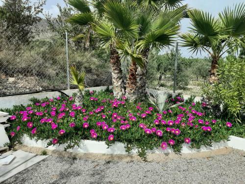 Bed & Breakfast La Dolce Vita