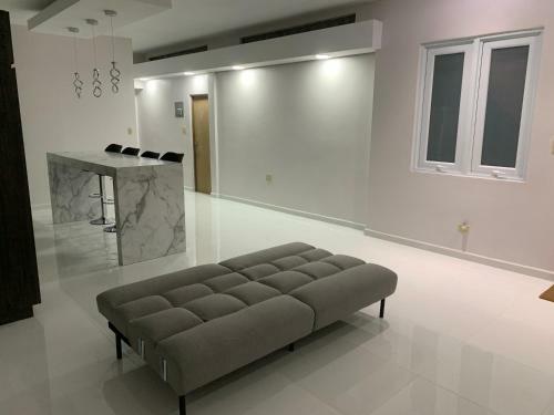 Entire Elegant House @guaynabo City