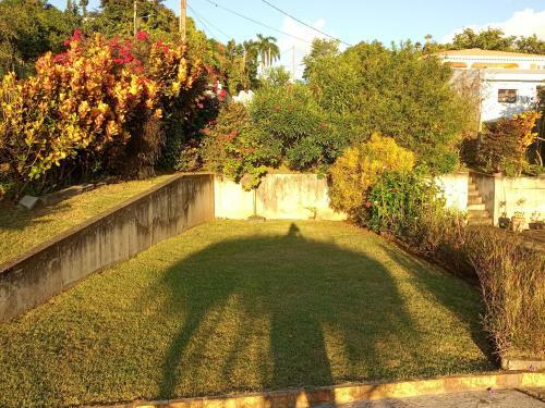 Apartamento Charmant Appartement Verdoyant