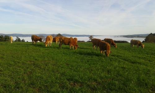 Casa Do Pacio Sabadelle