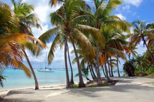 Apartamento La Marina Corossol