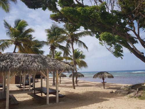 Apartamento R�sidence Anse Des Rochers
