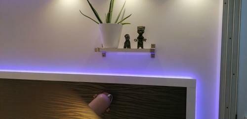 Apartamento So Chic