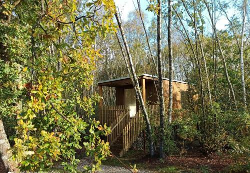 Apartamento Glamping Cabanas Das Chousas