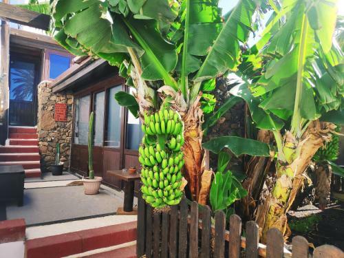 Apartamento Finca Luc�a - Los Hervideros