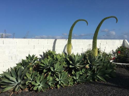 Villa Playa La Salemera - La Palma