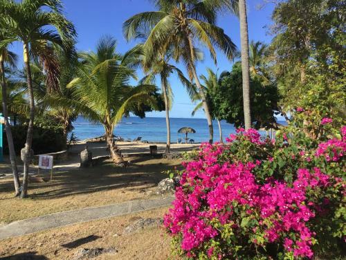 Apartamento Appartement Vue Mer Anse Des Rochers