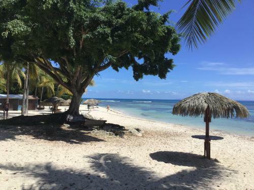 Apartamento Appartement Vue Mer Anse Des Rochers