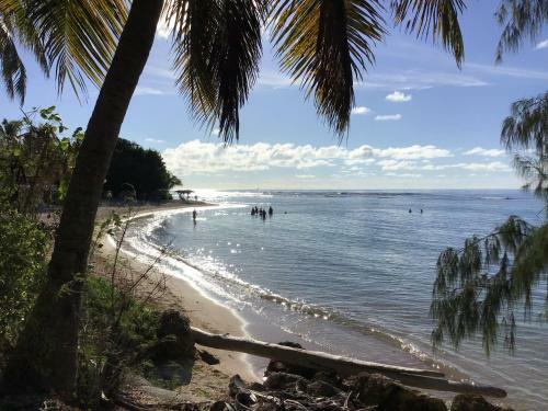 Apartamento Appartement Vue Mer Anse Des Rochers