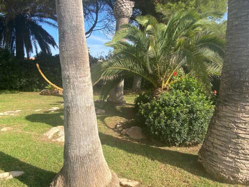 Villa Espectacular En Cap Den Font