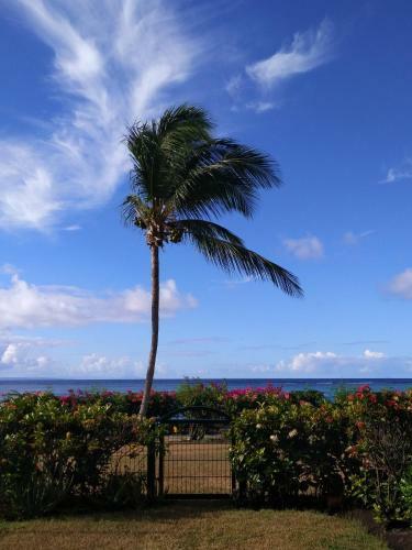 Apartamento Savannah Guadeloupe