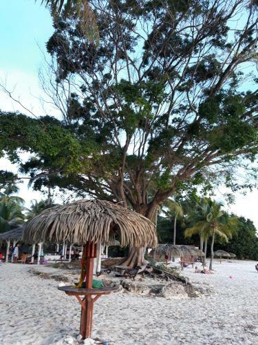 Apartamento R�sidence Anse Des Rochers