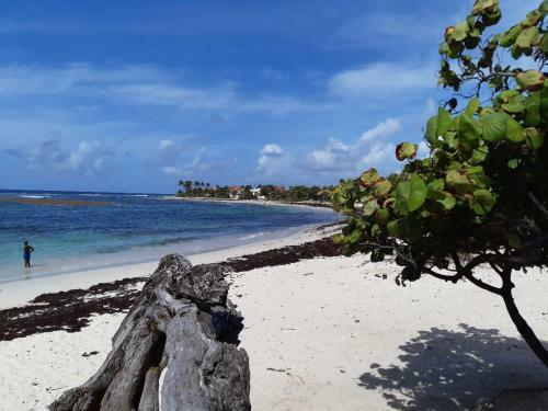 Apartamento Appartement de Charme Au Bord de Mer