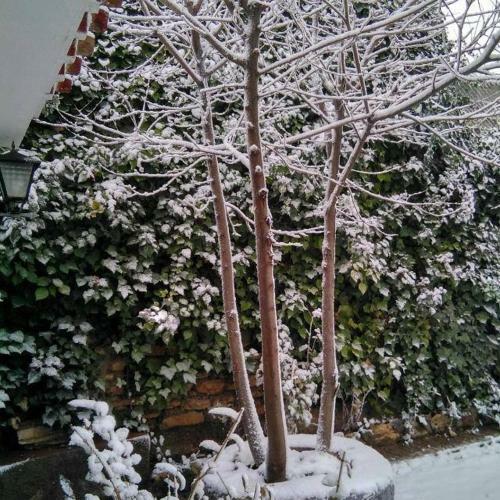 Agroturismo La Casilla