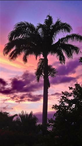 L'escapade Ensoleill�e