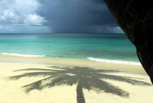 Apartamento Anolis'tudio Manganao