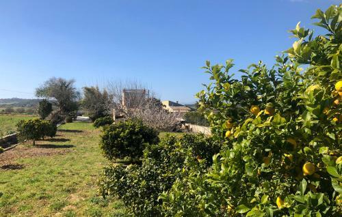 Villa Son Roig ,lugar Id�lico,en El Coraz�n De Mallorca