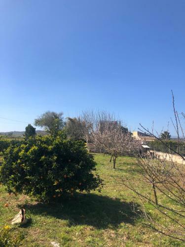 Villa Son Roig ,lugar Id�lico,en El Coraz�n De Mallorca