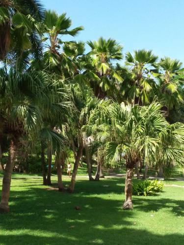 Apartamento Vue Mer Haut de Villa Anse Des Rochers
