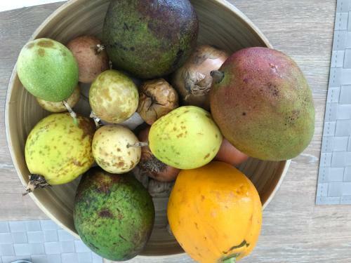 Villa La Belle Creole 4 �toiles