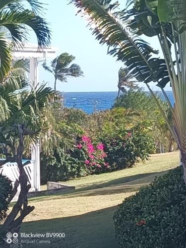 Apartamento Poupeau Manganao 1005