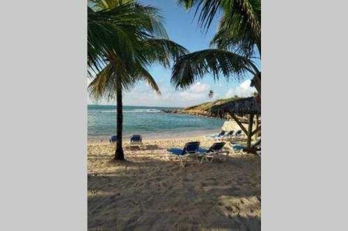 Apartamento Samana, Joli Studio Renov� Sublime Plage Piscine