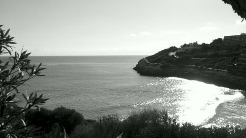 Apartament Cala Anguila