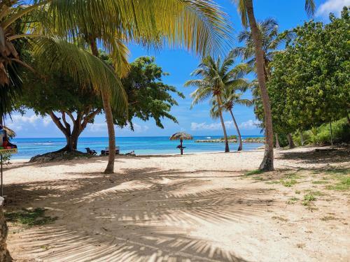 Apartamento Studio Aim� Des Antilles, Plage Piscine