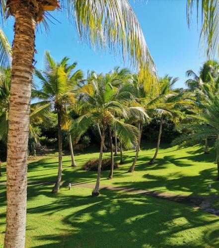 Apartamento Studio Aim� Des Antilles, Plage Piscine