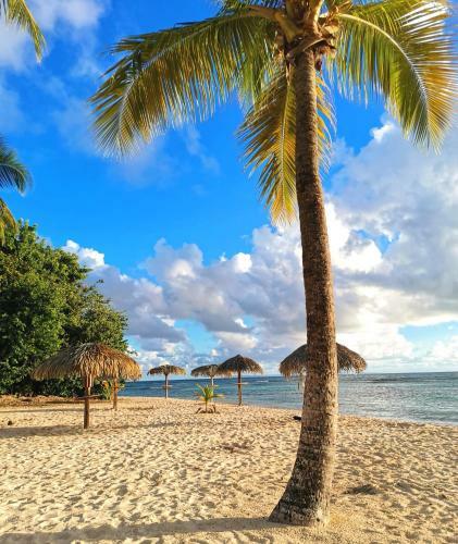 Apartamento Studio Aim� Des Antilles, Plage Piscine