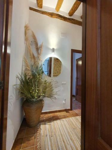 La Ultima Casa Masboquera 1 Bedroom